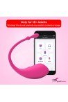Lovense LUSH Wireless Bluetooth App Vibrator ACV-001