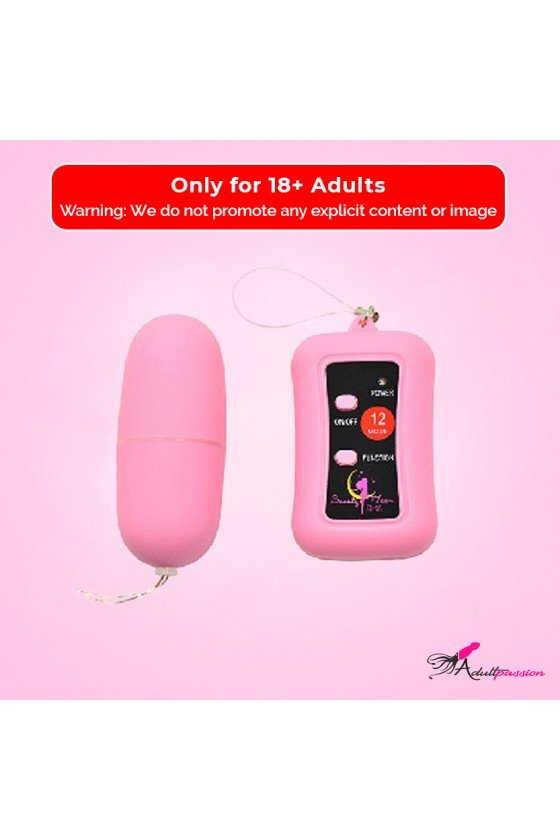 Remote Control Vibrating Egg BV-003